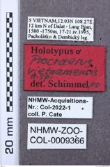 Etikett zu Megapenthes funebris (Candèze, 1881)